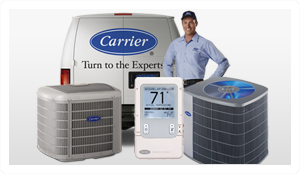 Expert Service